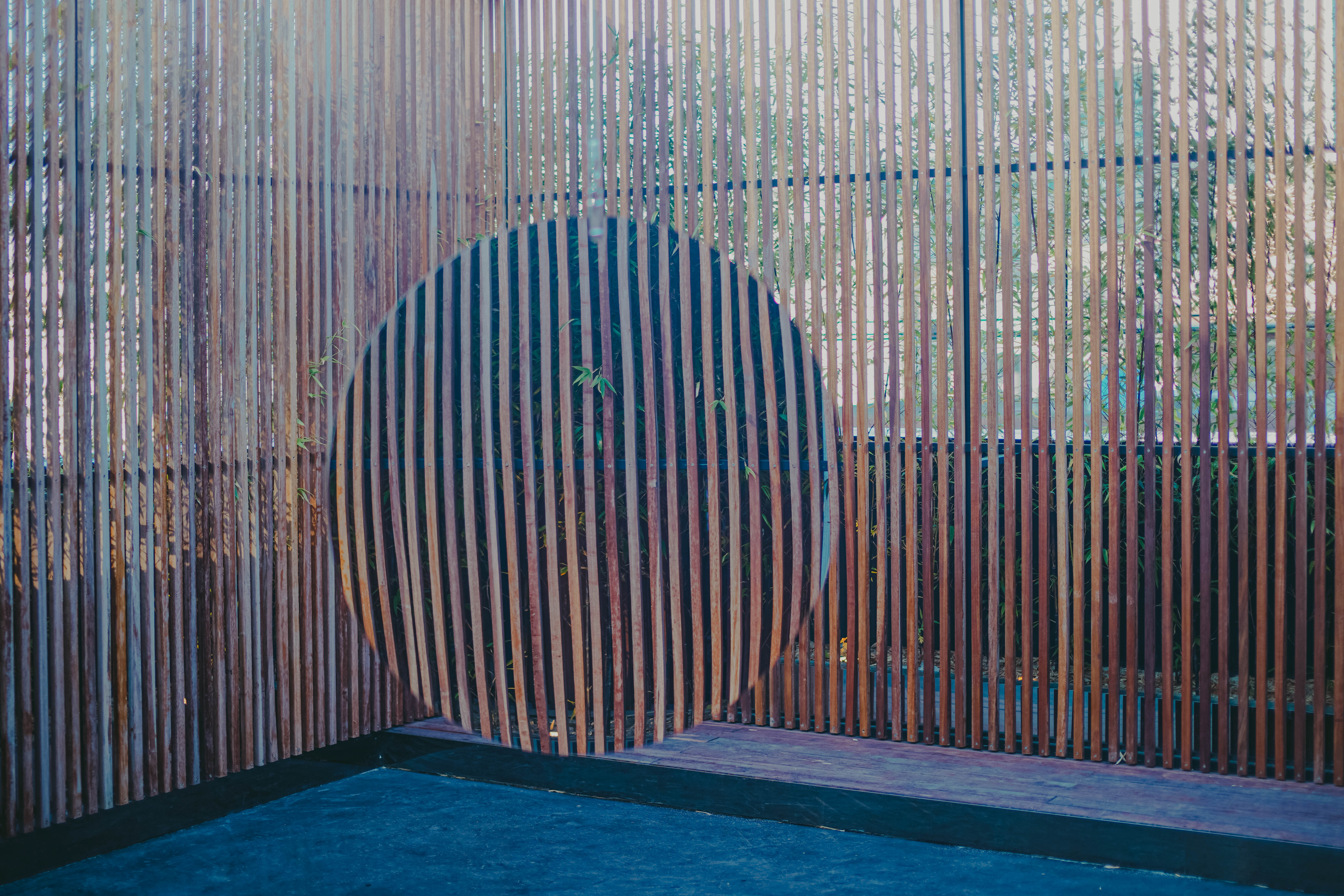 섬세이테라리움 성수동 핫플 전시 체험전시 섬세이