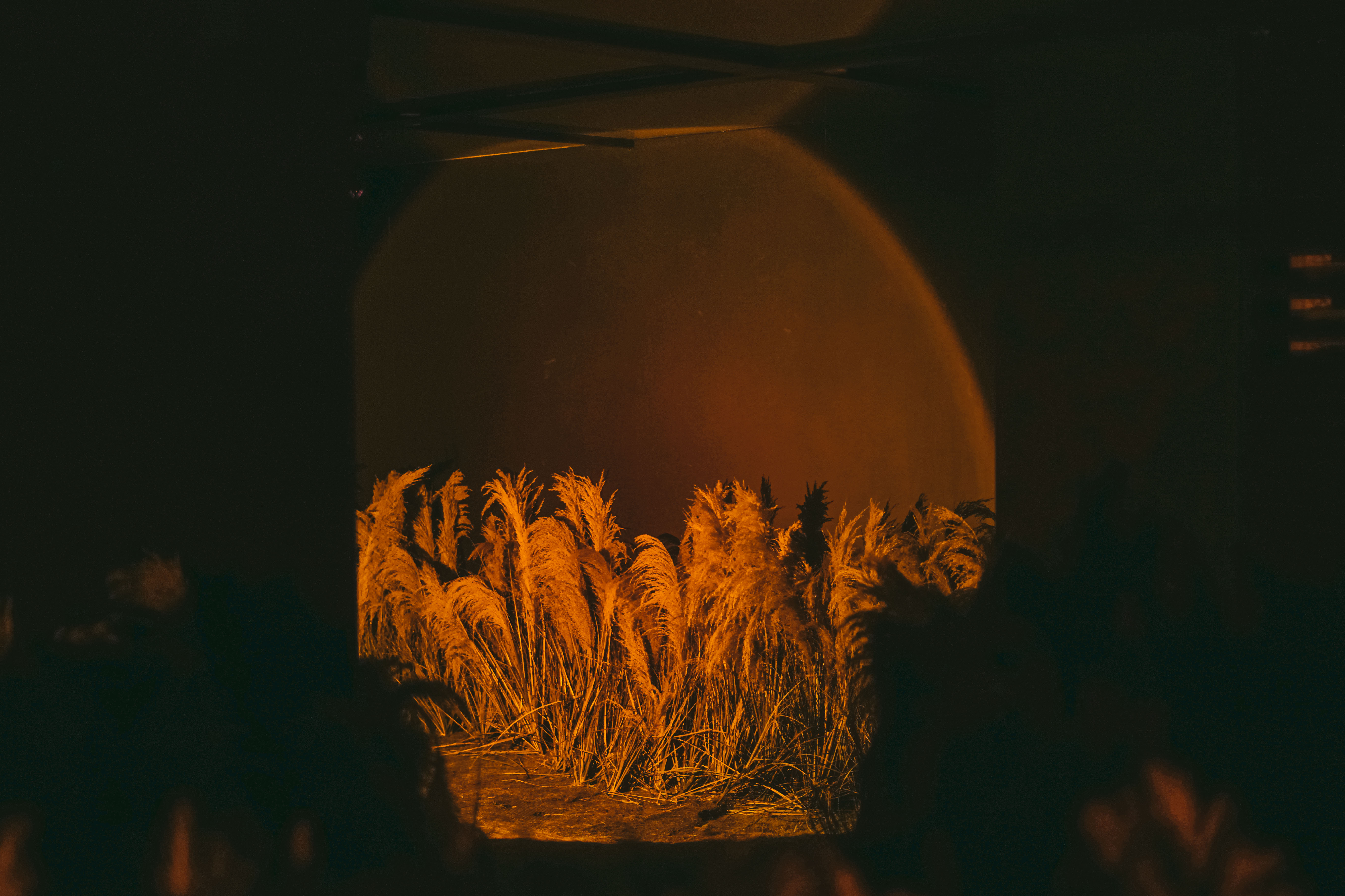 섬세이테라리움 성수동 핫플 전시 체험전시 섬세이