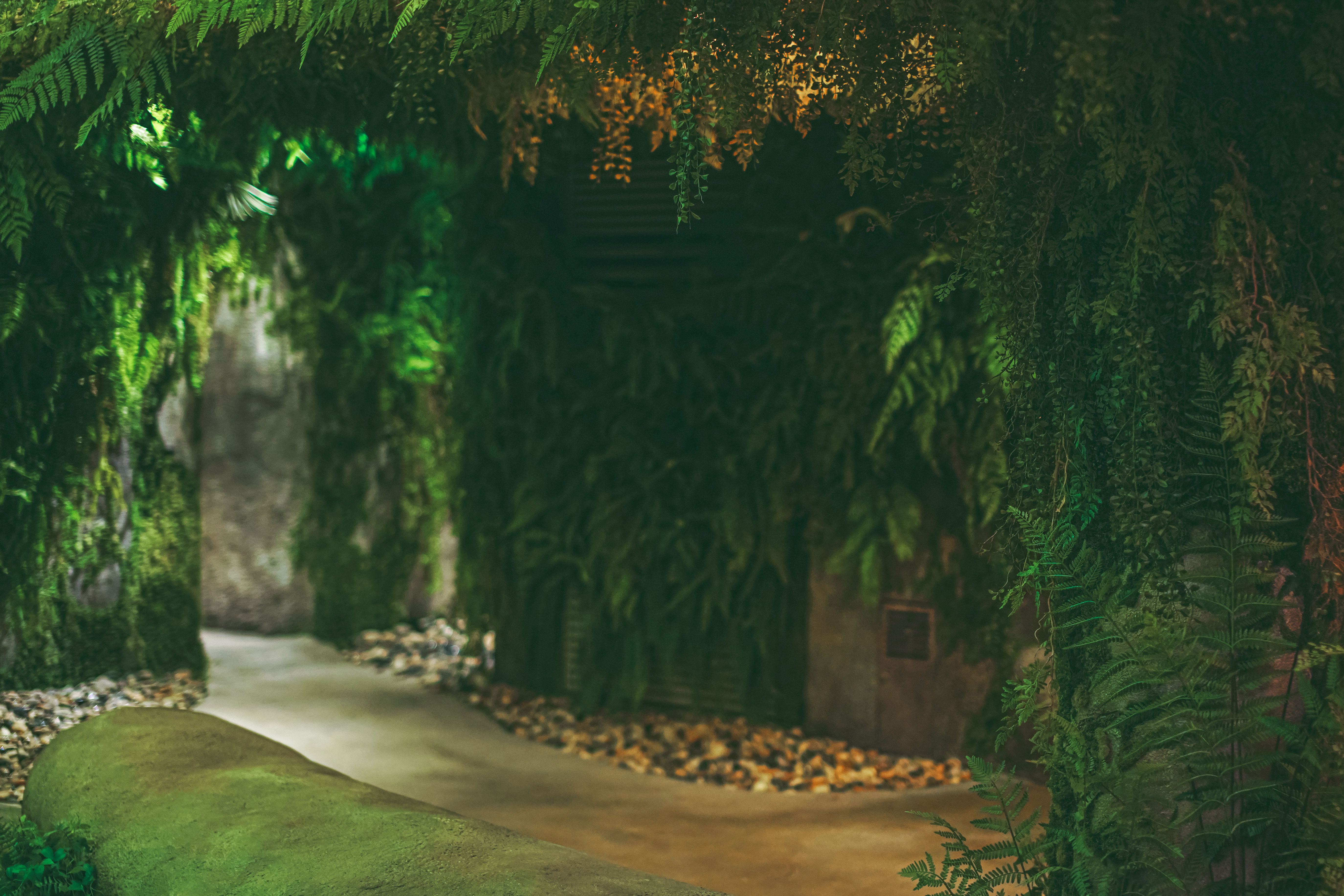 섬세이테라리움 성수동 핫플 전시 체험전시 섬세이