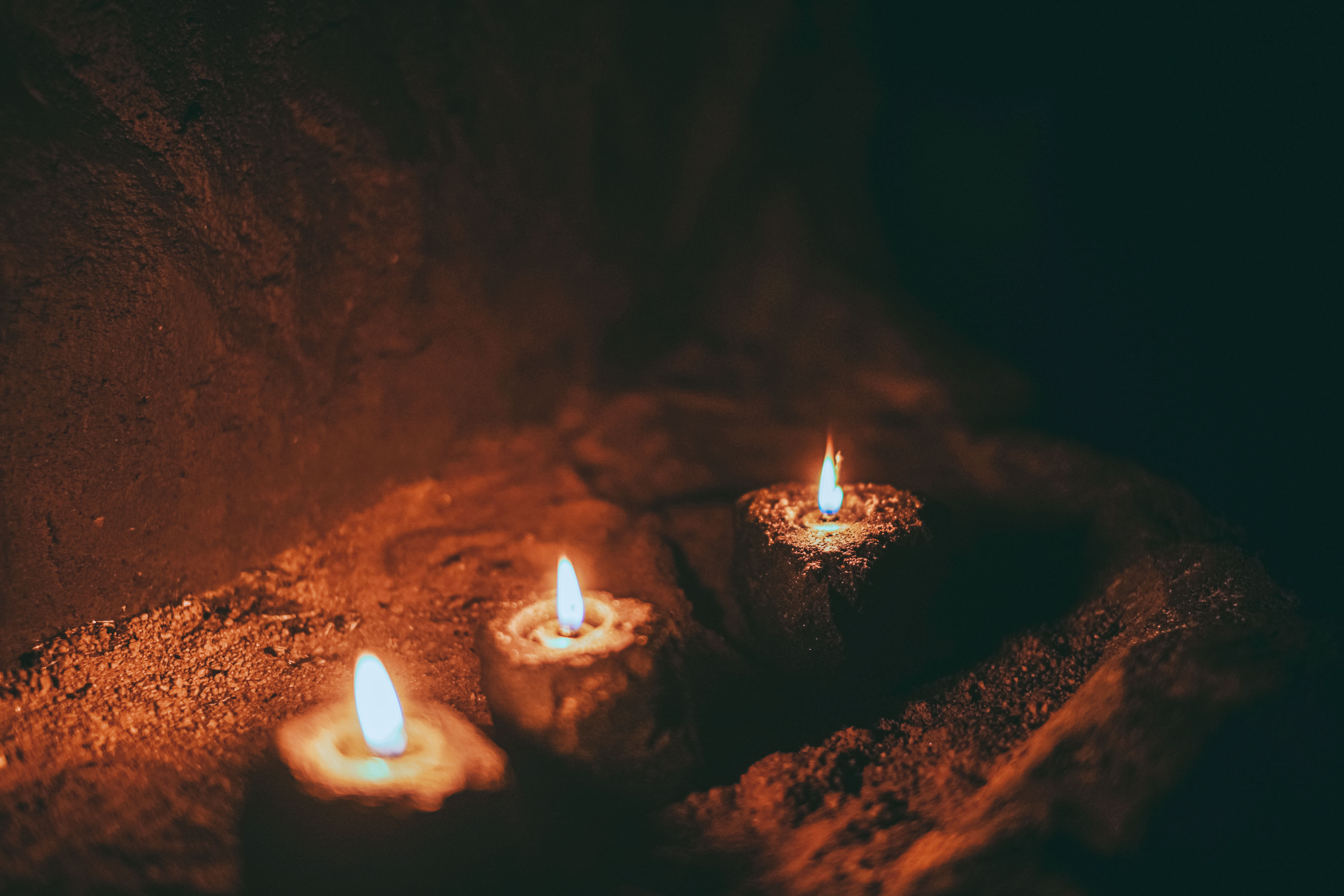 섬세이테라리움 성수동 핫플 전시 체험전시 섬세이