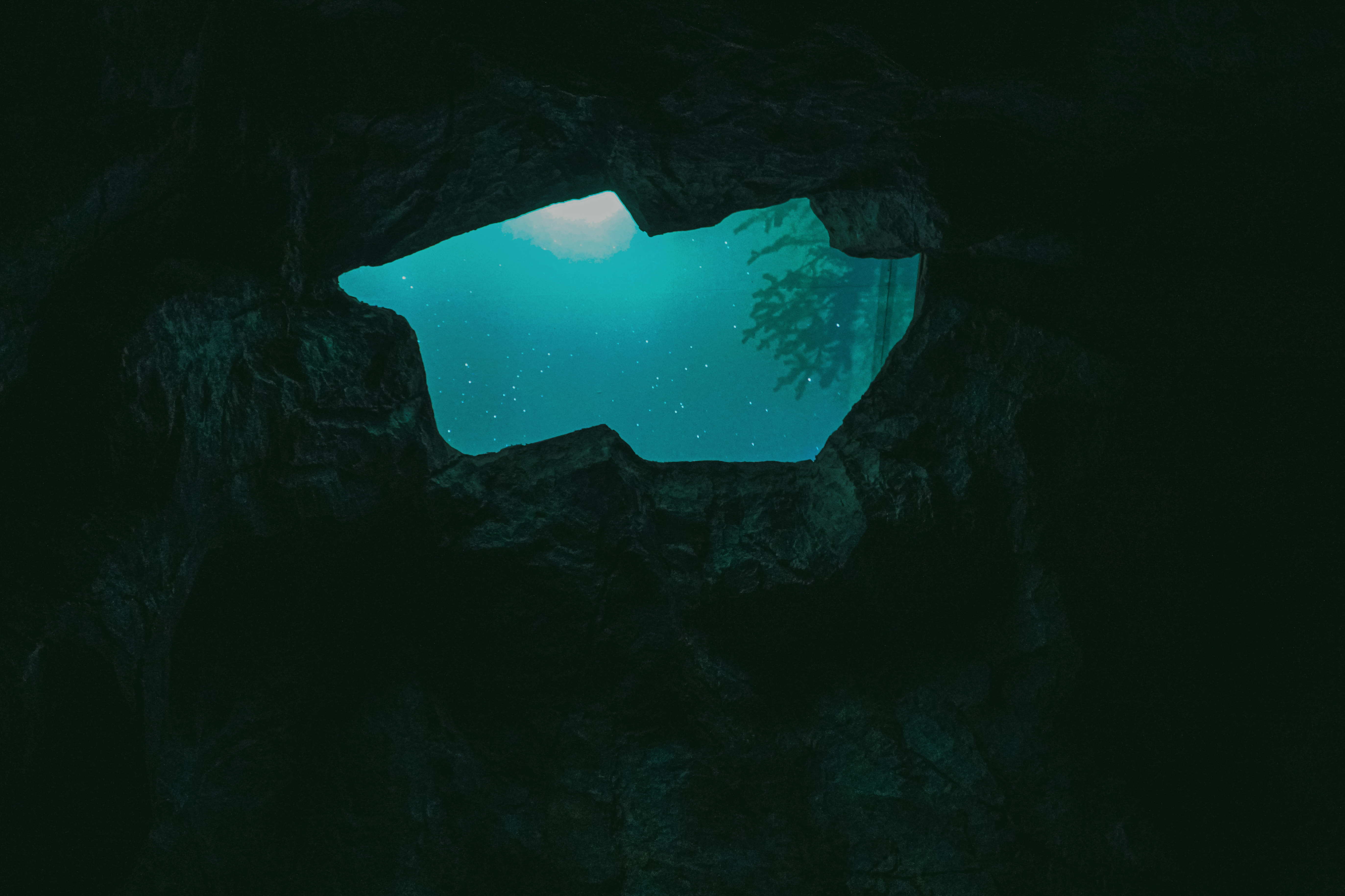 섬세이테라리움 성수동 핫플 전시 체험전시 섬세이