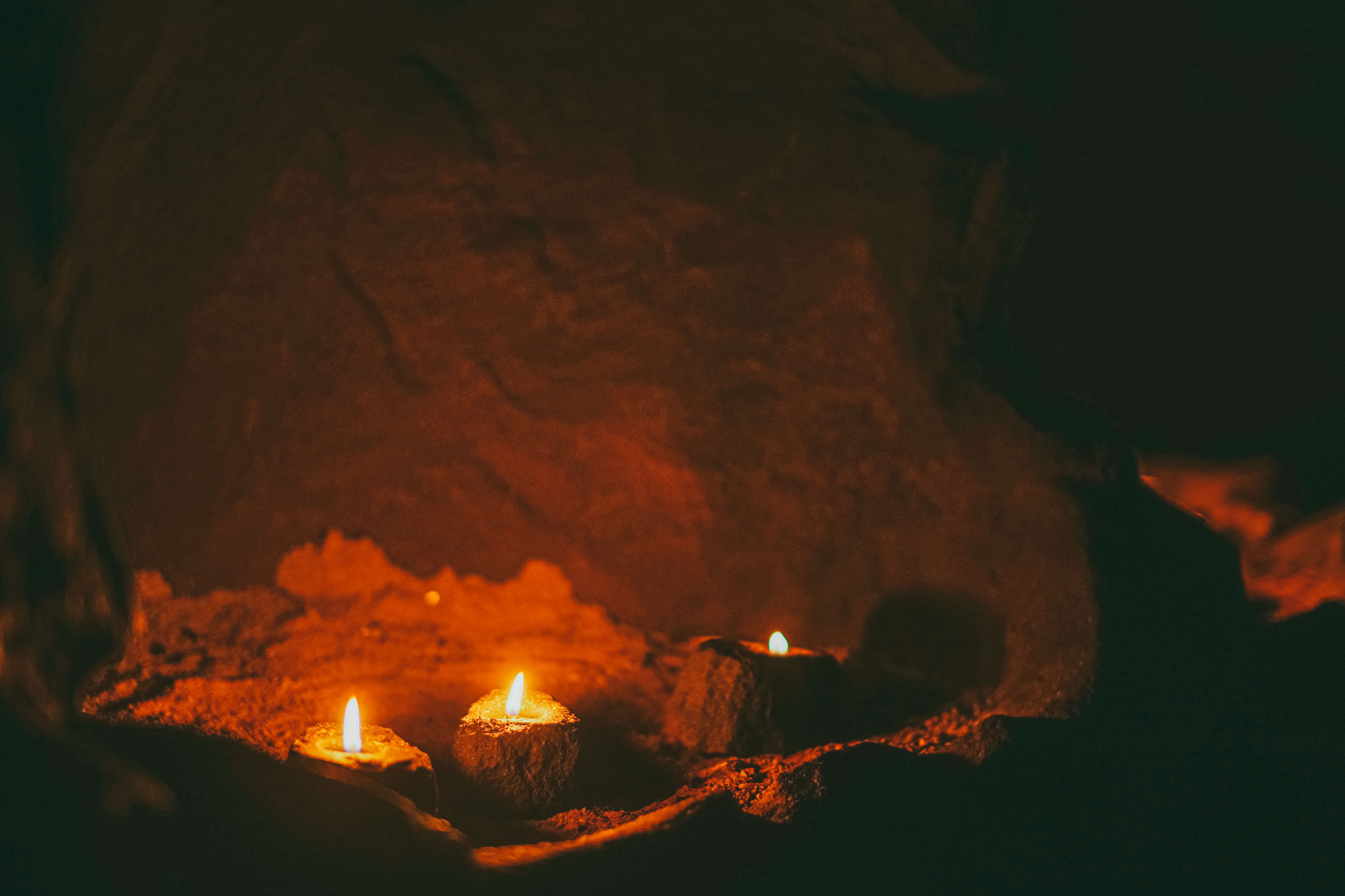 섬세이테라리움 성수동 핫플 전시 체험전시 섬세이