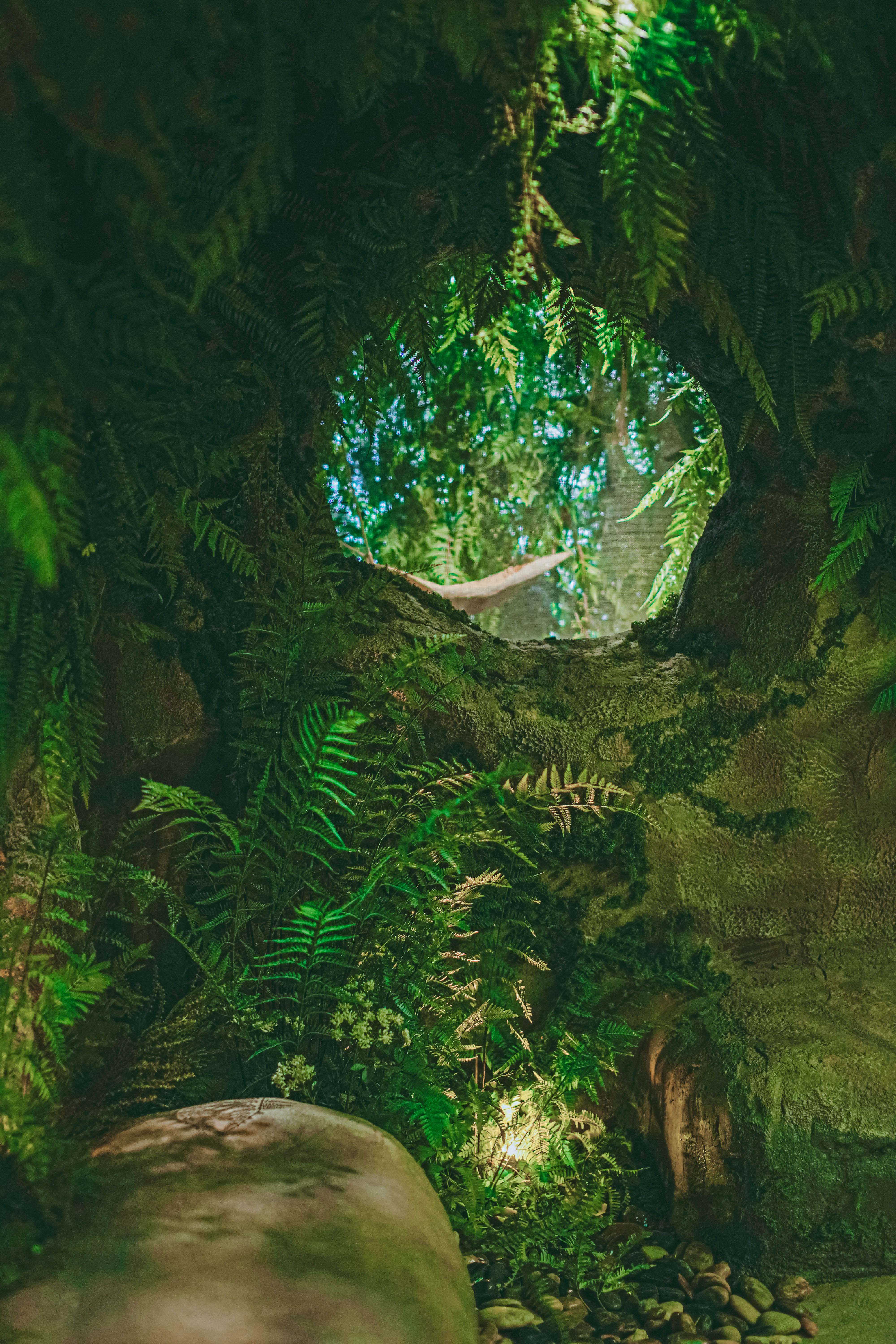 섬세이테라리움 성수동 핫플 전시 체험전시 섬세이