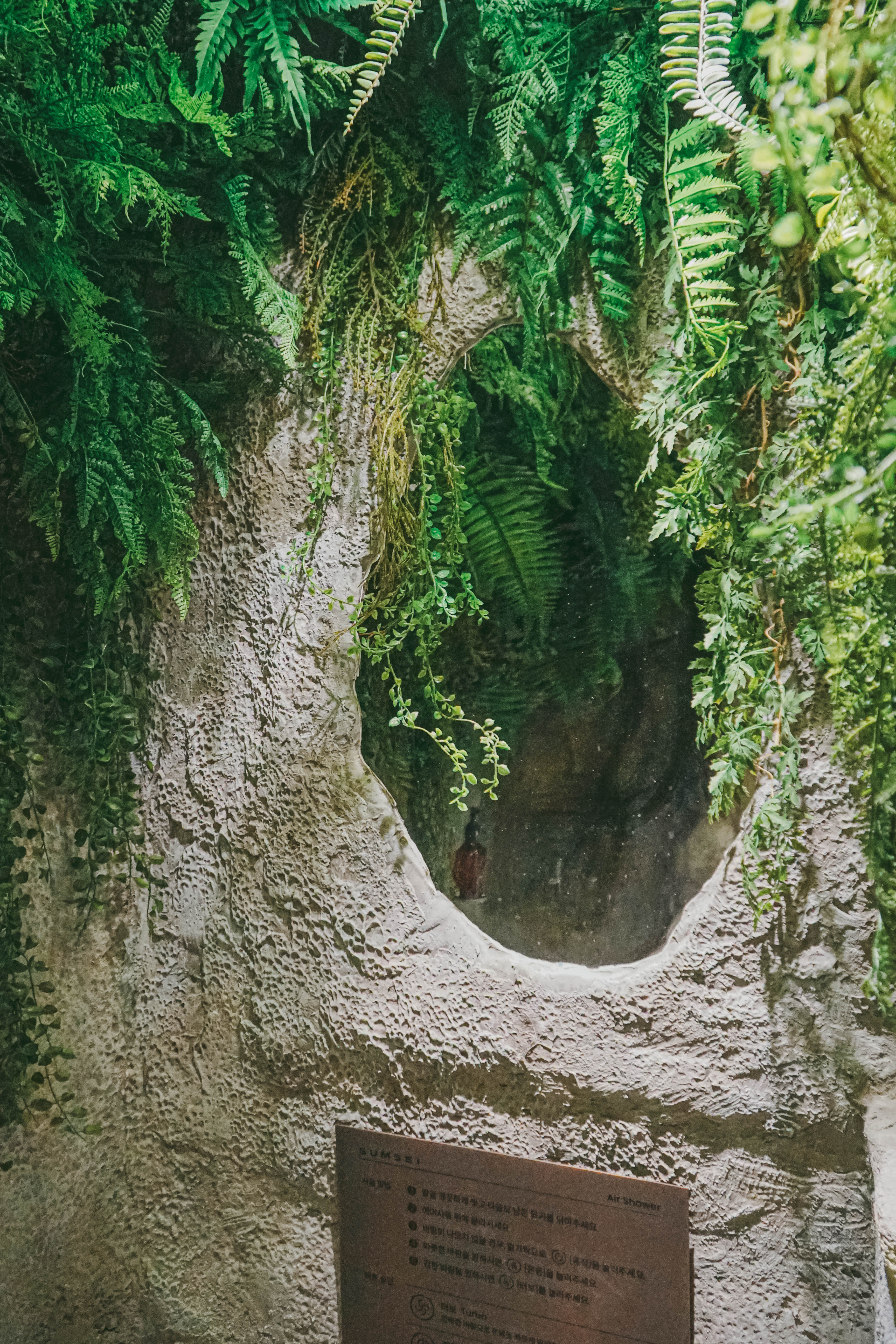 섬세이테라리움 성수동 핫플 전시 체험전시 섬세이