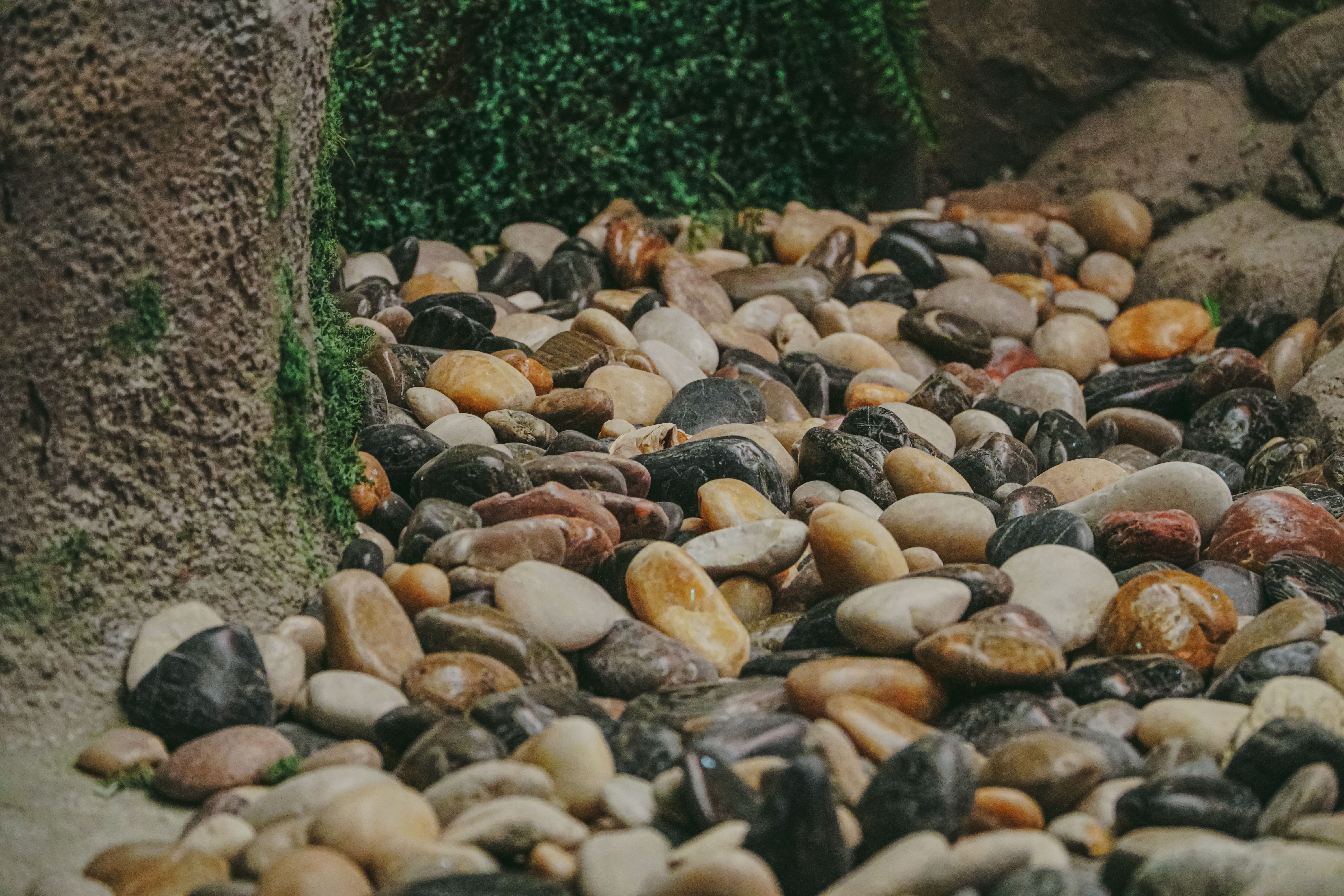 섬세이테라리움 성수동 핫플 전시 체험전시 섬세이