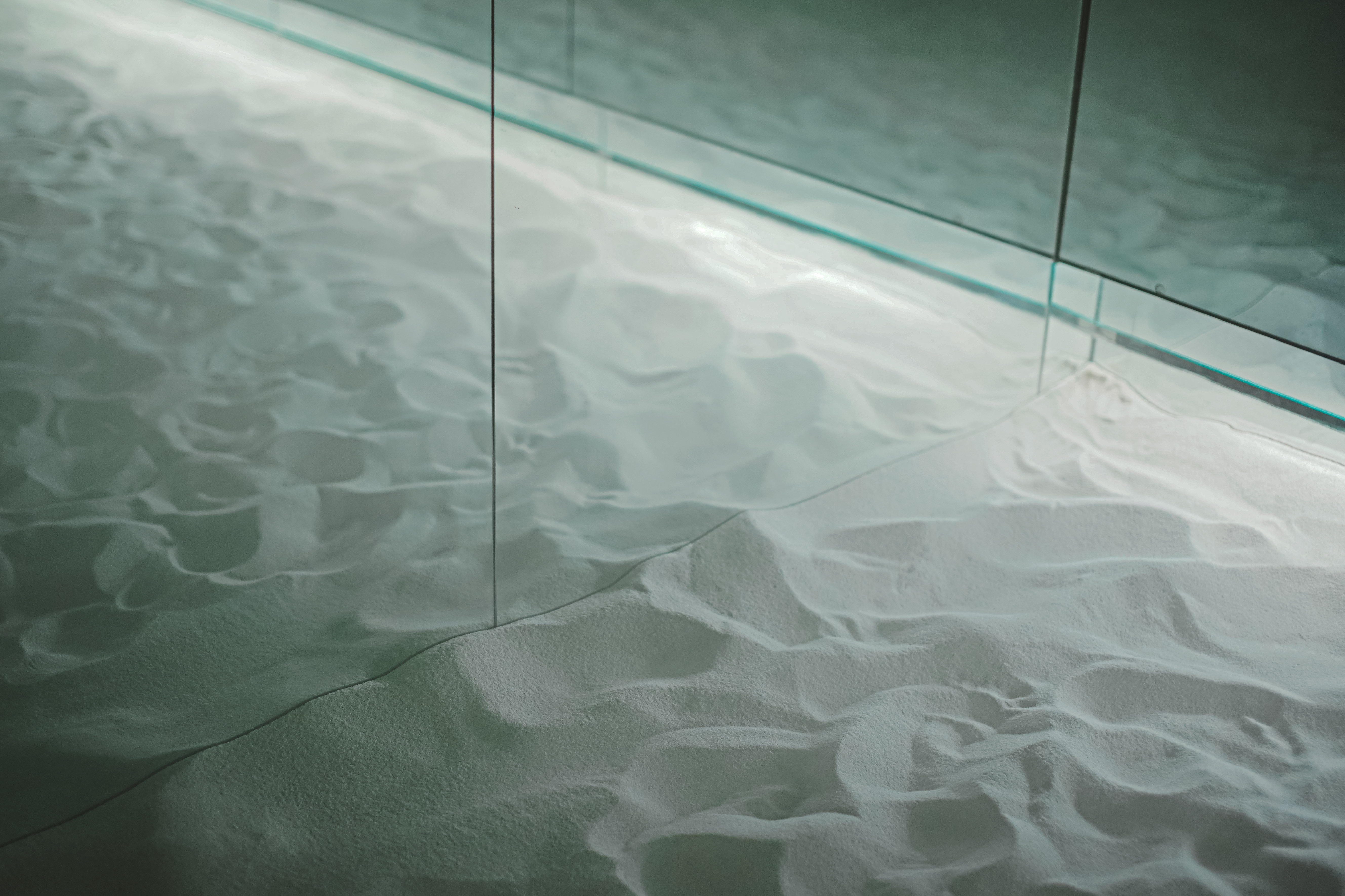 섬세이테라리움 성수동 핫플 전시 체험전시 섬세이