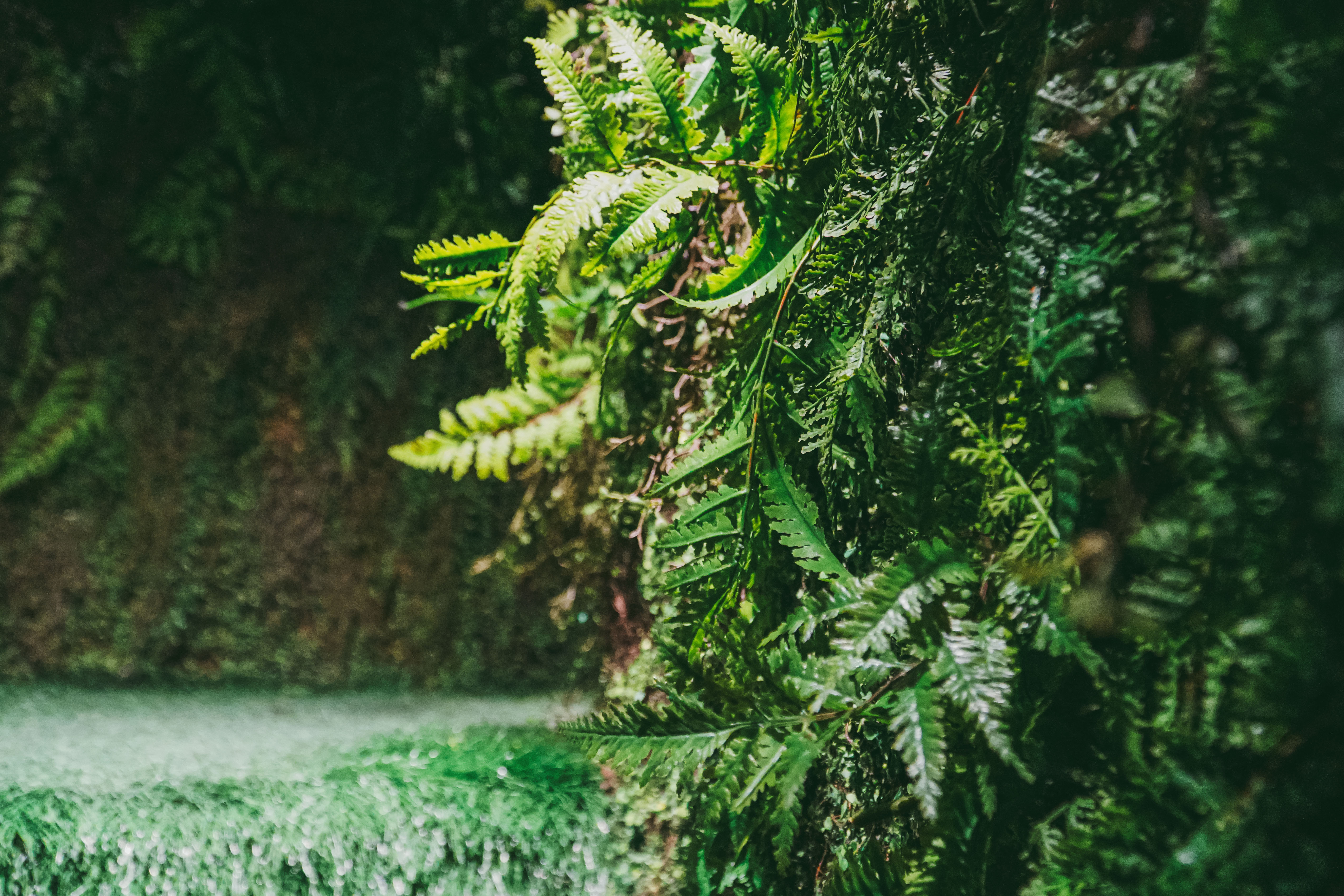 섬세이테라리움 성수동 핫플 전시 체험전시 섬세이