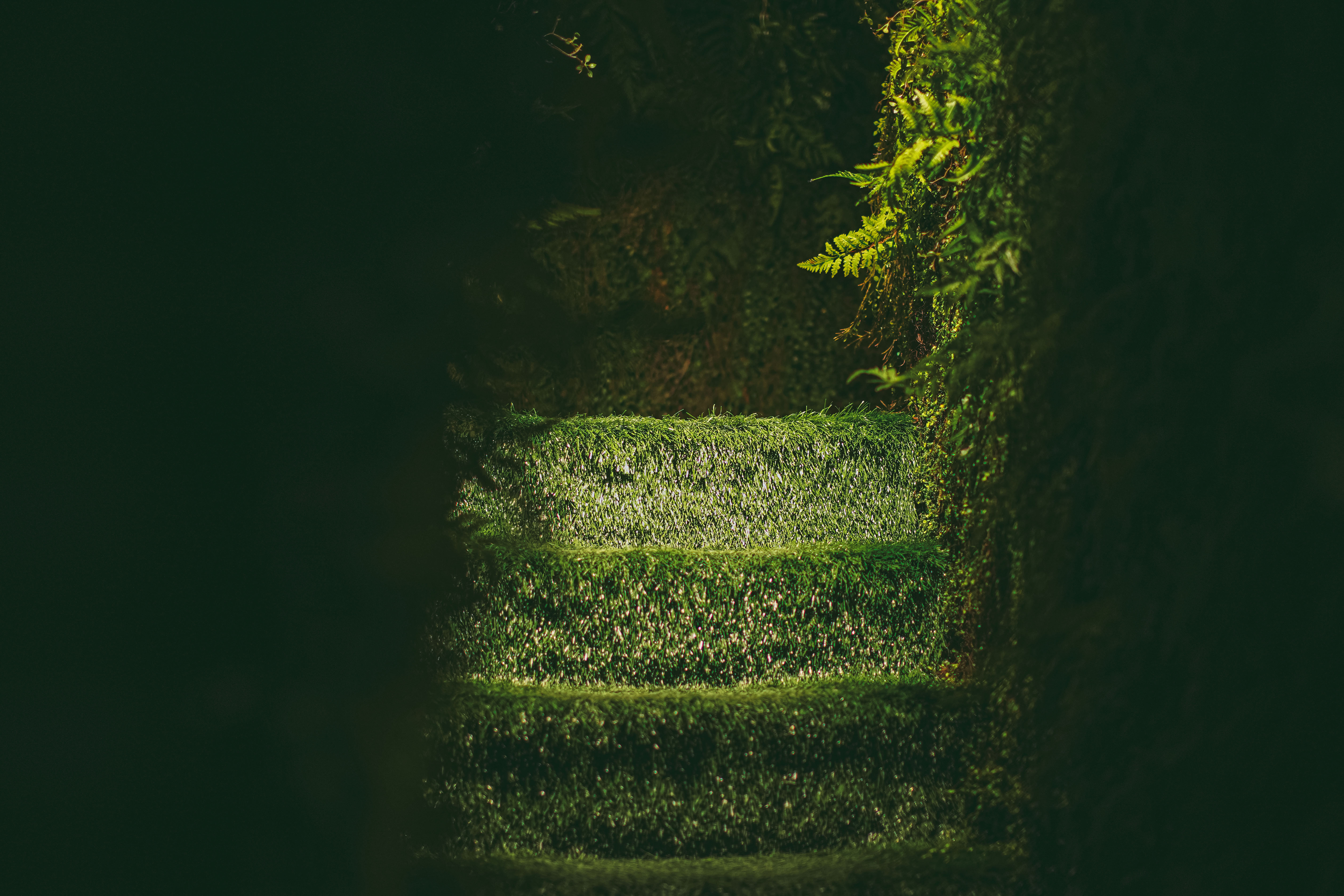 섬세이테라리움 성수동 핫플 전시 체험전시 섬세이