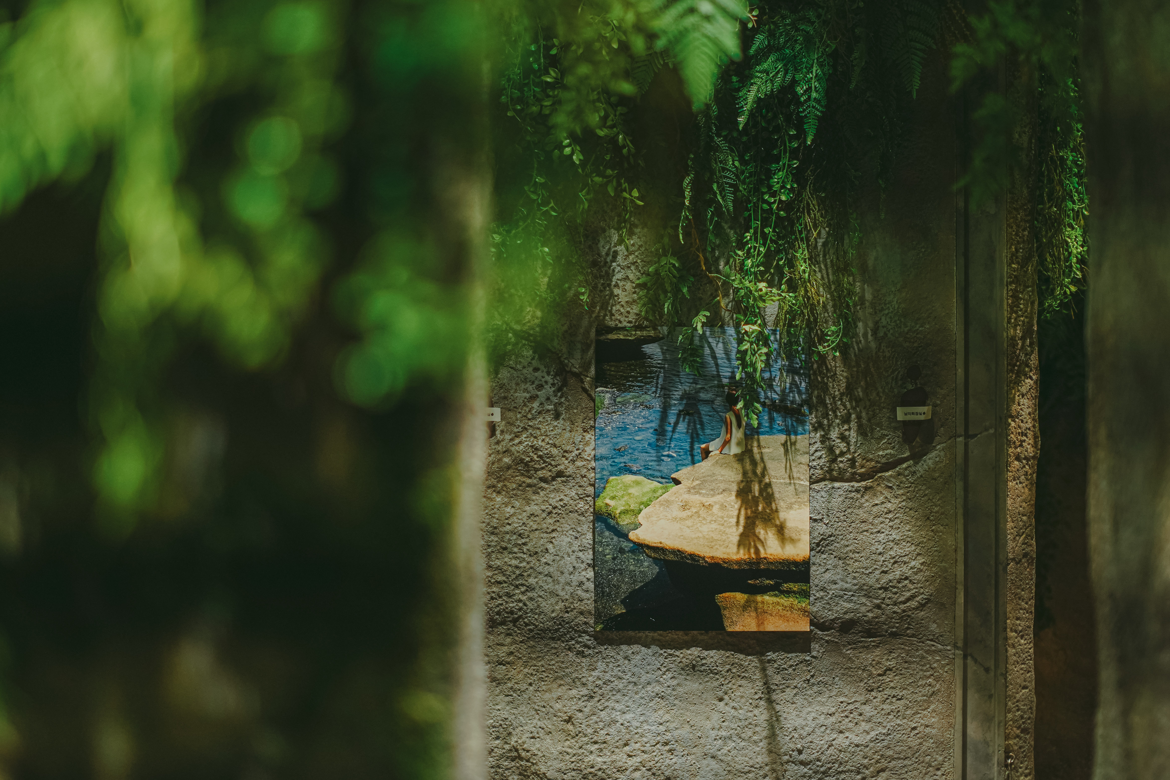 섬세이테라리움 성수동 핫플 전시 체험전시 섬세이