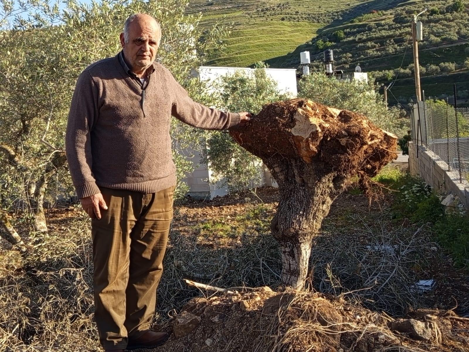야외, 의류, 사람, 식물이(가) 표시된 사진  AI가 생성한 콘텐츠는 부정확할 수 있습니다.