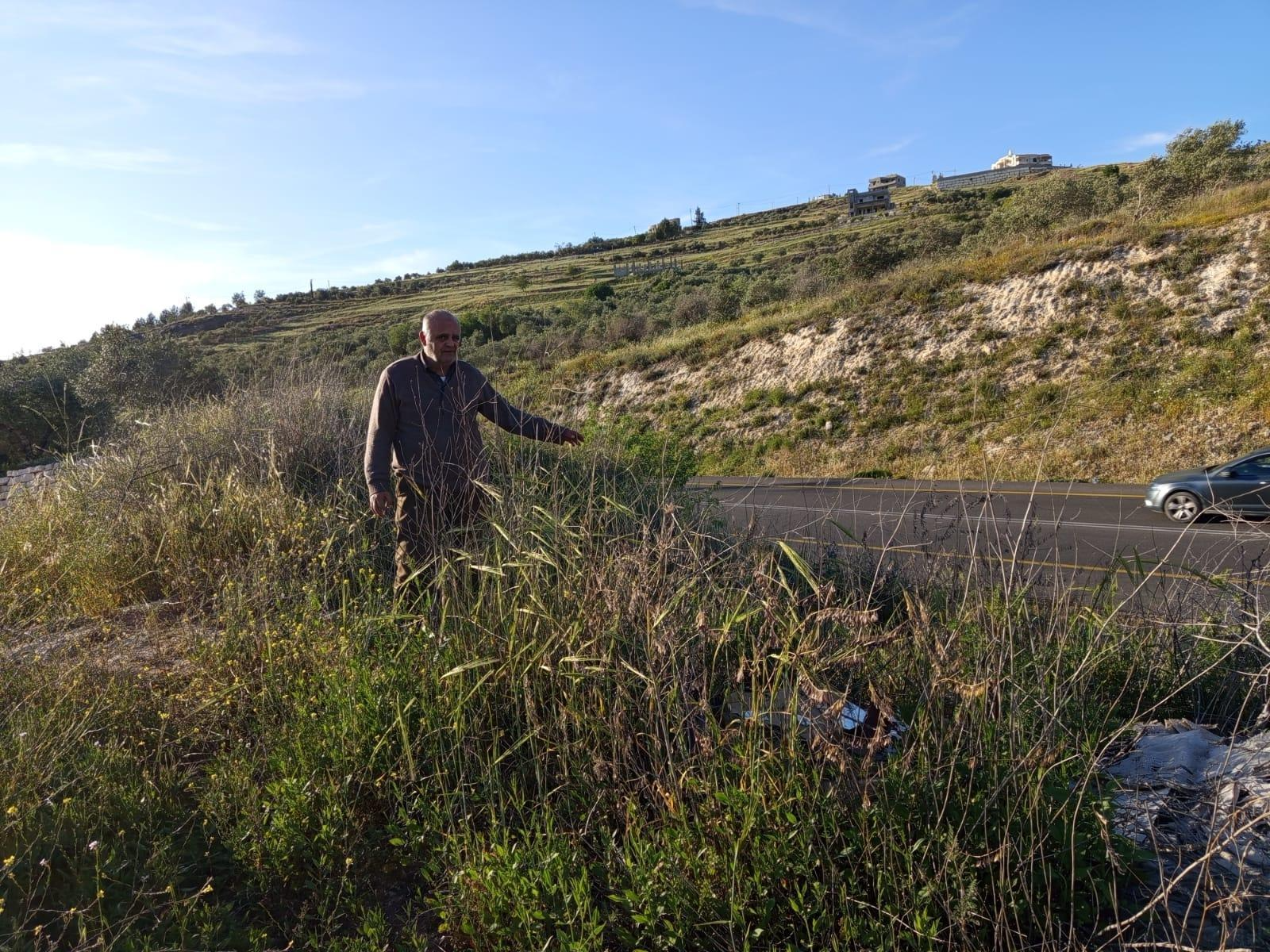 야외, 잔디, 식물, 하늘이(가) 표시된 사진  AI가 생성한 콘텐츠는 부정확할 수 있습니다.