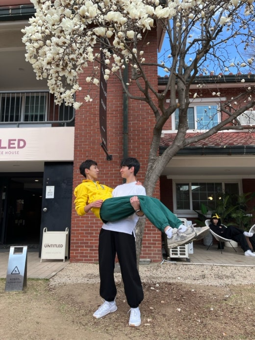 사진