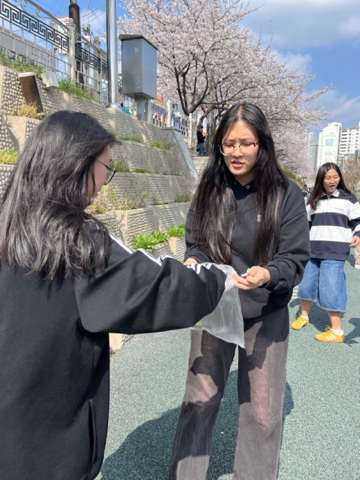사진