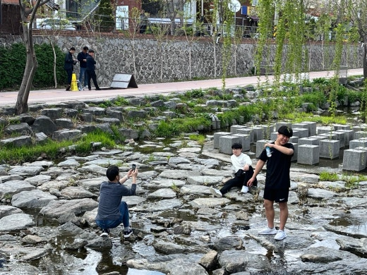 사진