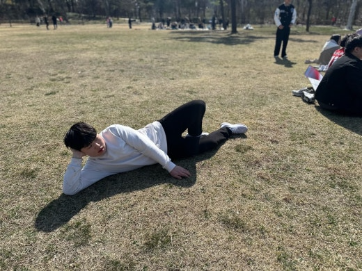 사진