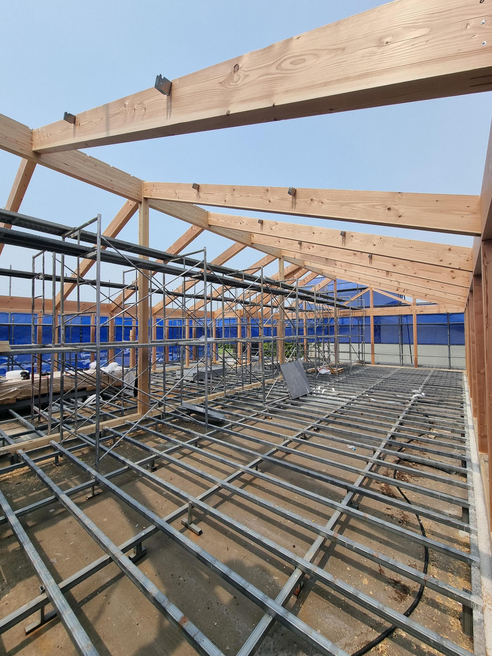 0b1ae08474416.jpg