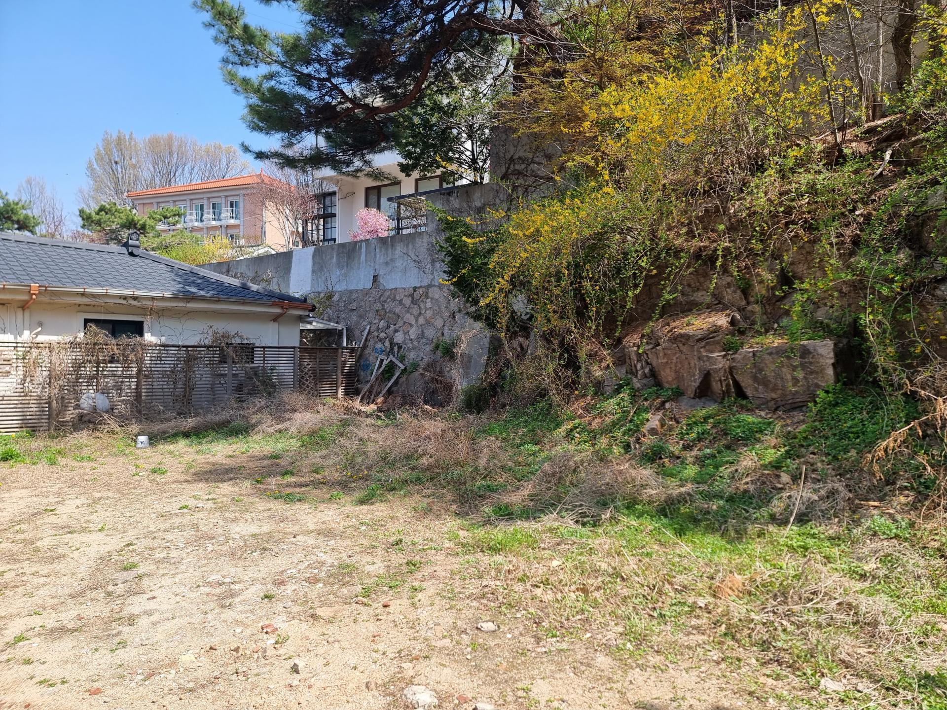 6d02632ec018d.jpg