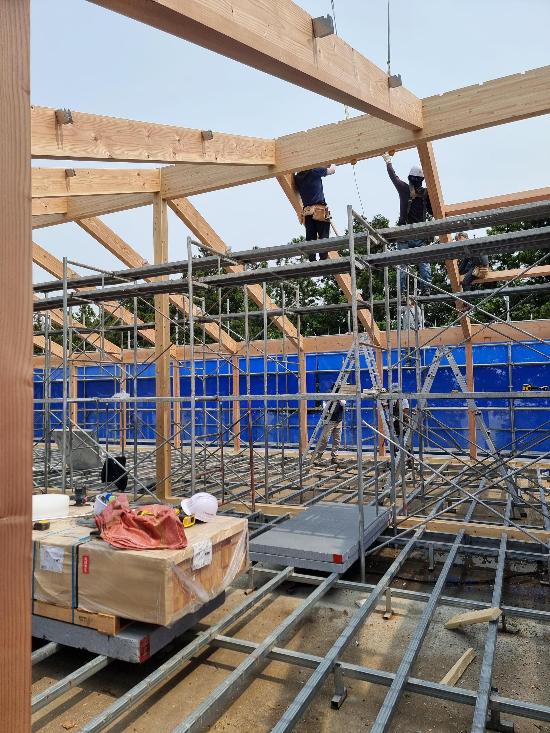 98f67ef633edd.jpg