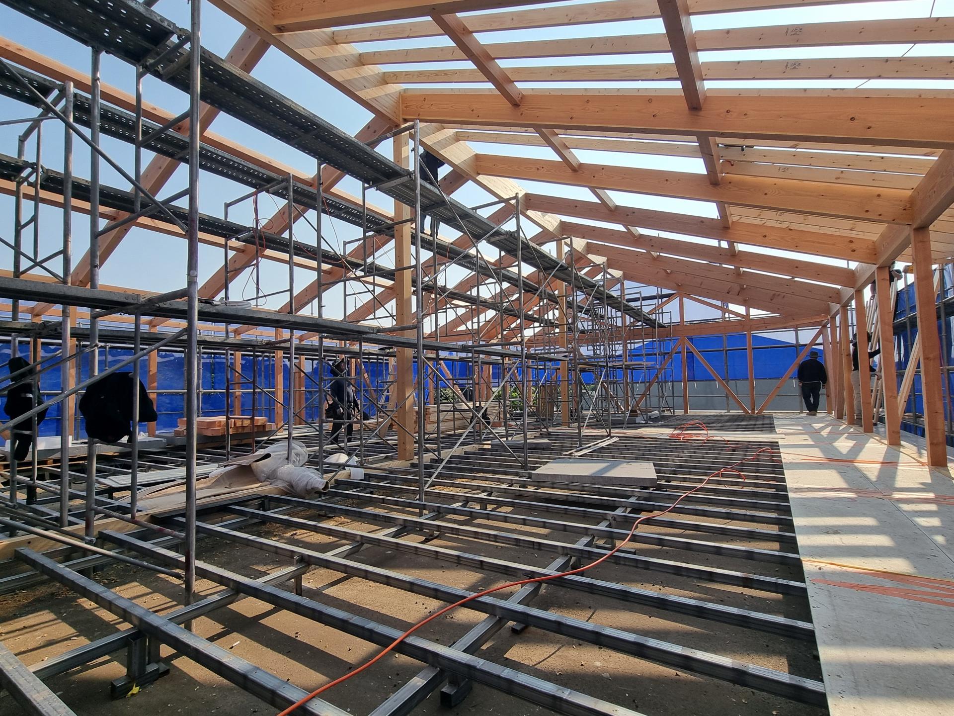f252c2aae1019.jpg