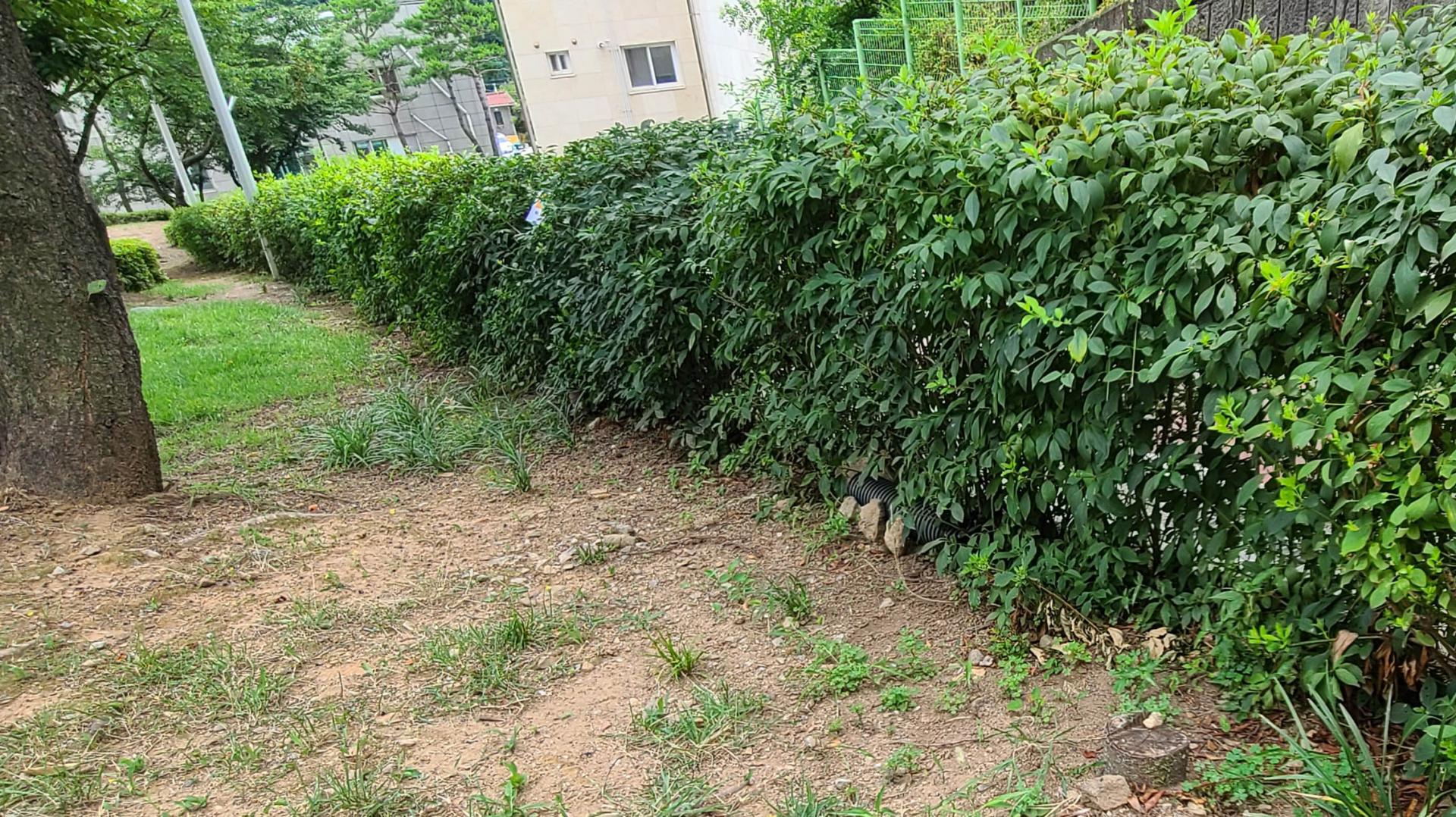 뱀트랩 통발트랩