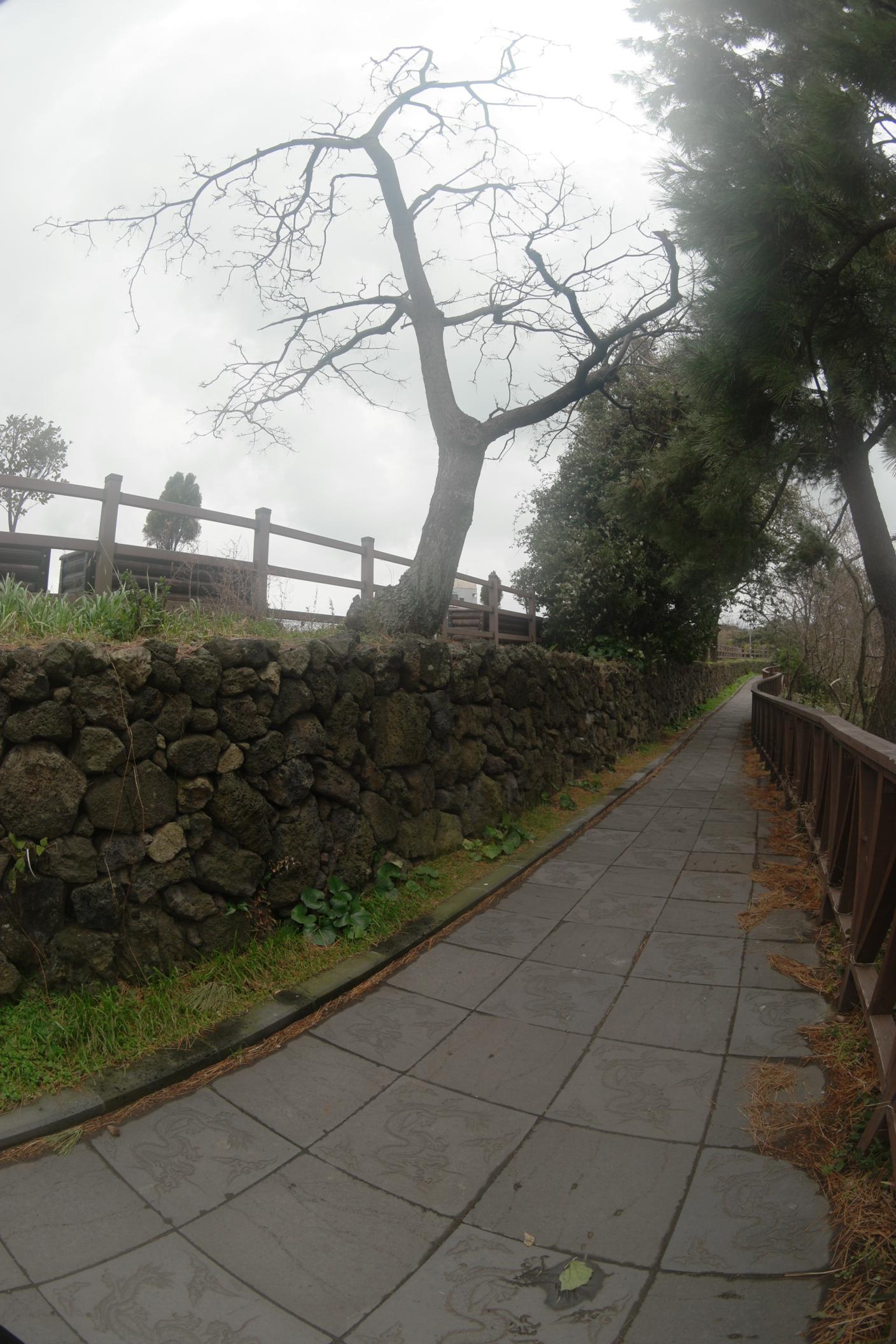 1f24387459a18.jpg