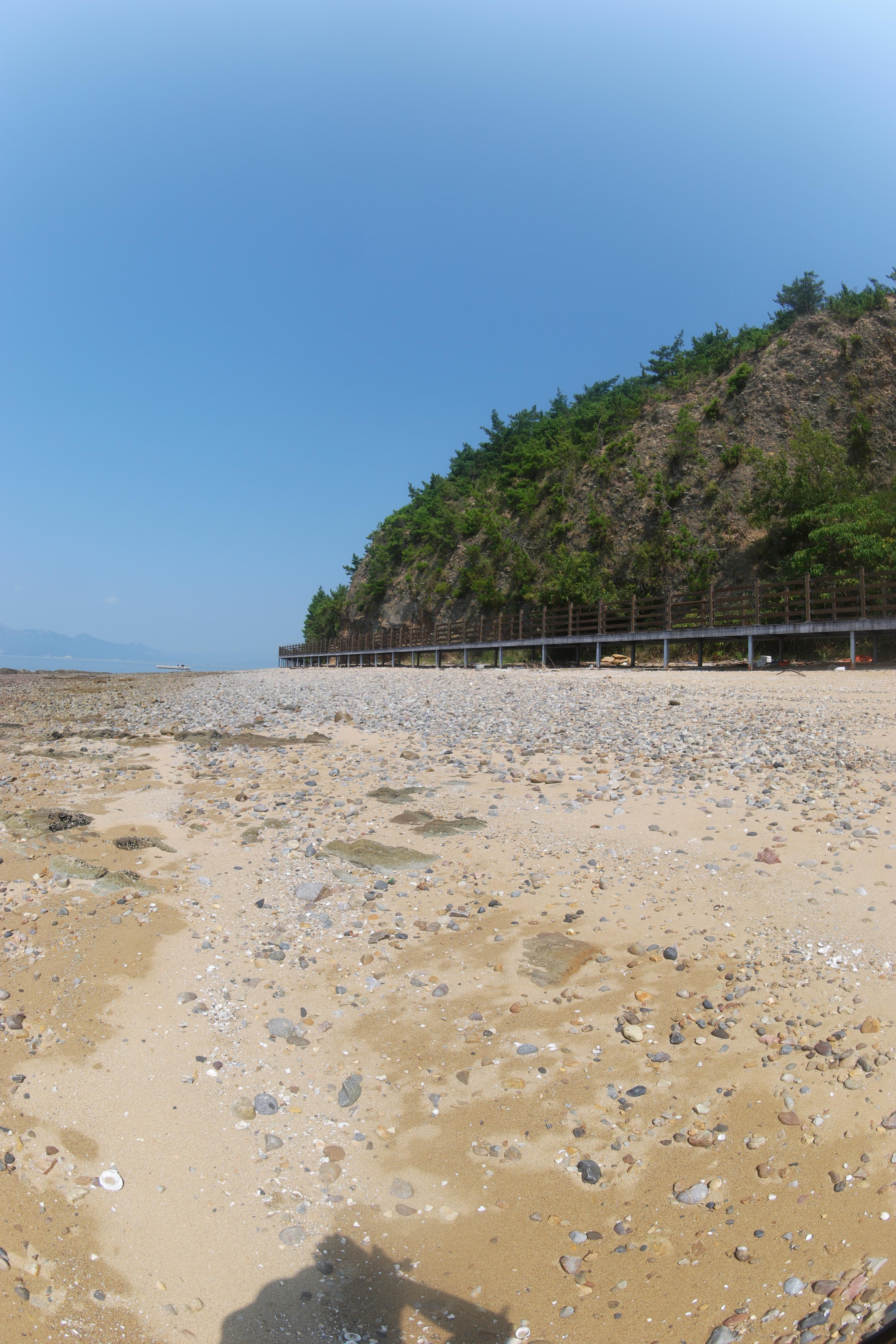 2fa8b5a28d985.jpg