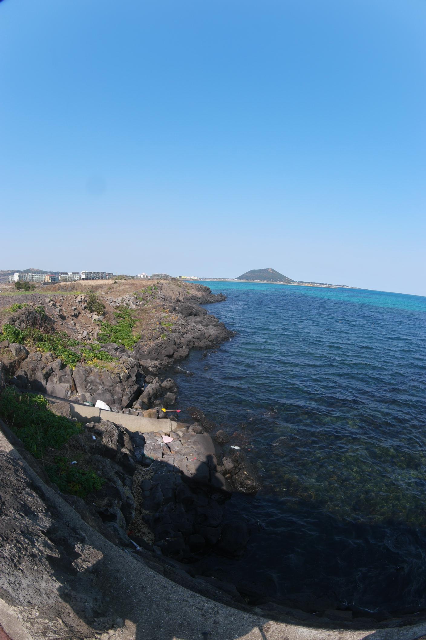 8f67069e6dda8.jpg