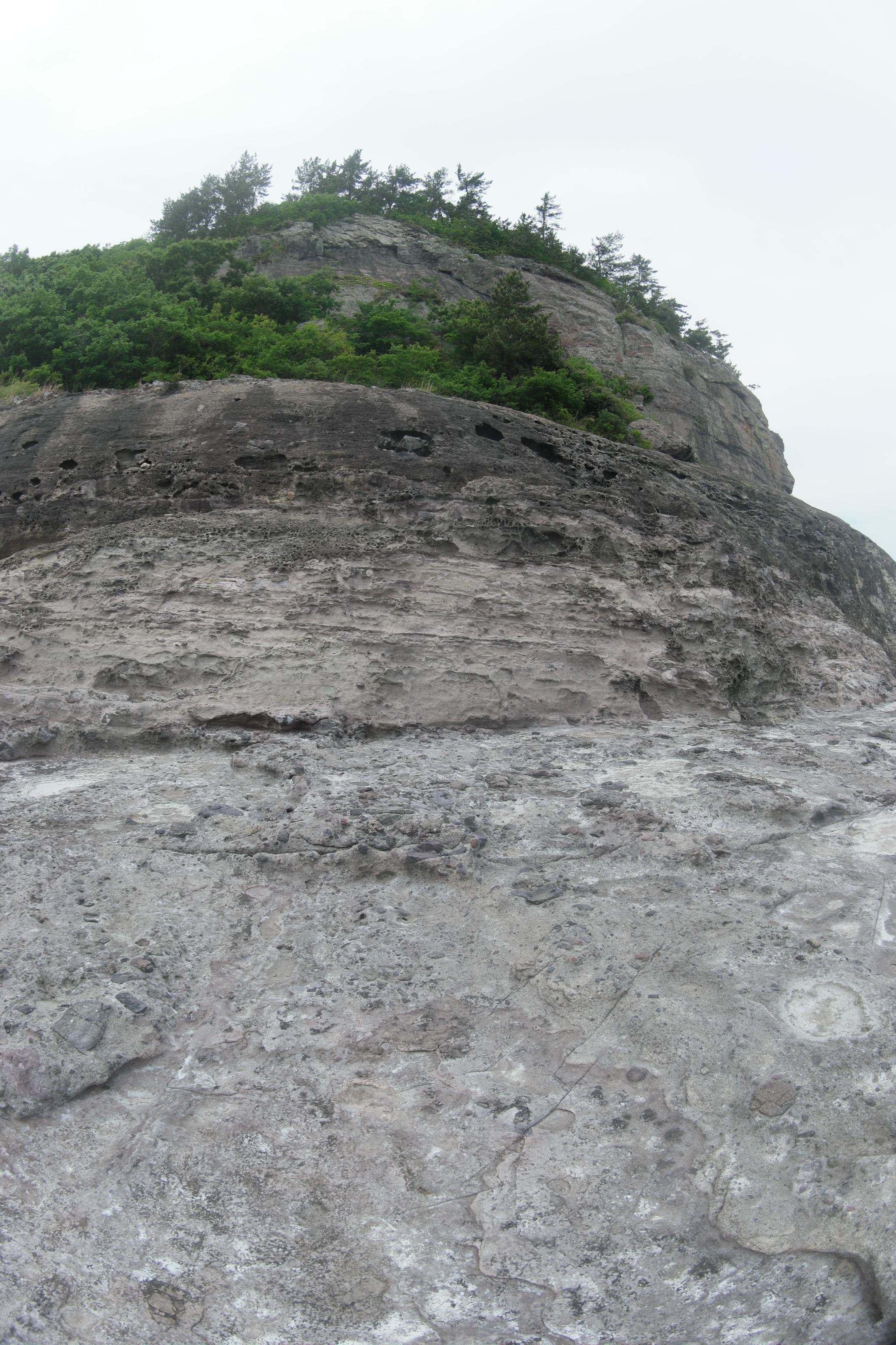 f030d2d078f16.jpg