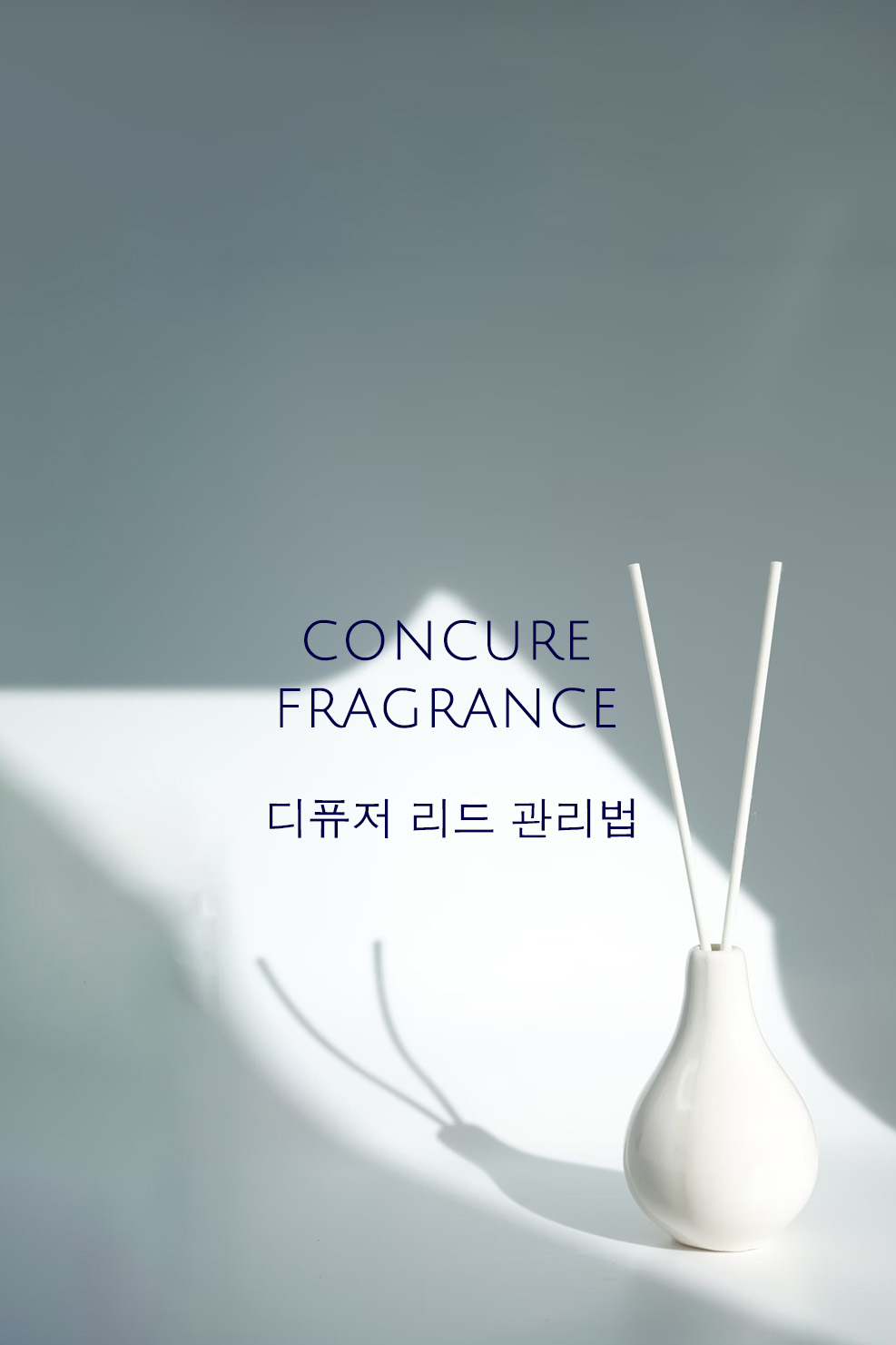 디퓨저 리드 관리 방법 : 향기를 아는 사람들의 퍼퓸 아틀리에 컨큐어 공지사항 디퓨저 리드 관리 방법 : 향기를 아는 사람들의 퍼퓸 아틀리에 컨큐어 공지사항