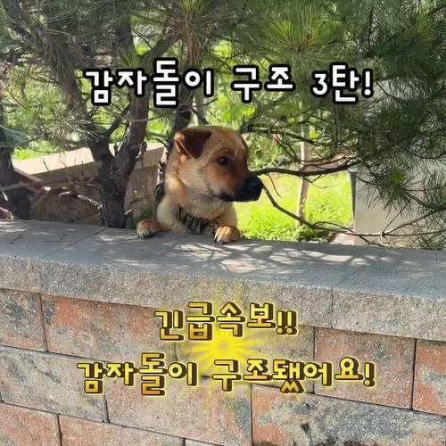 025420a816021.png