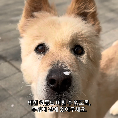068ae5b64f211.png