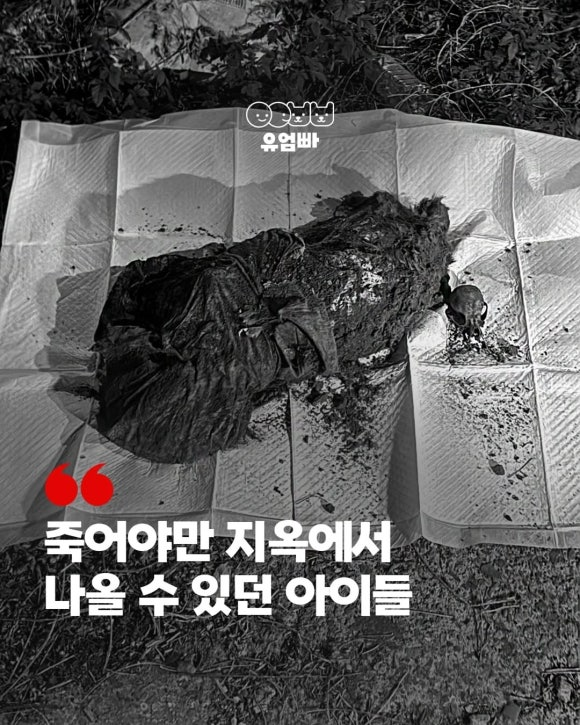 06952caba6fab.png
