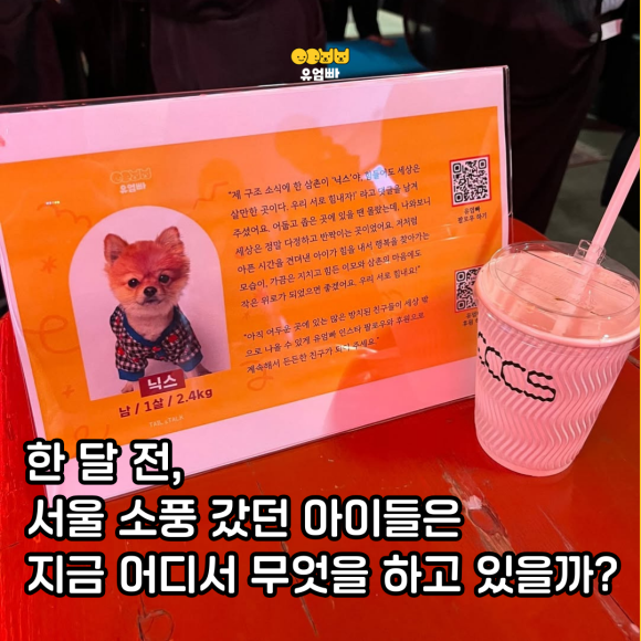 0a48dfb0739eb.png