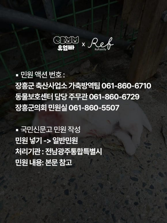 0b6abbe839608.png