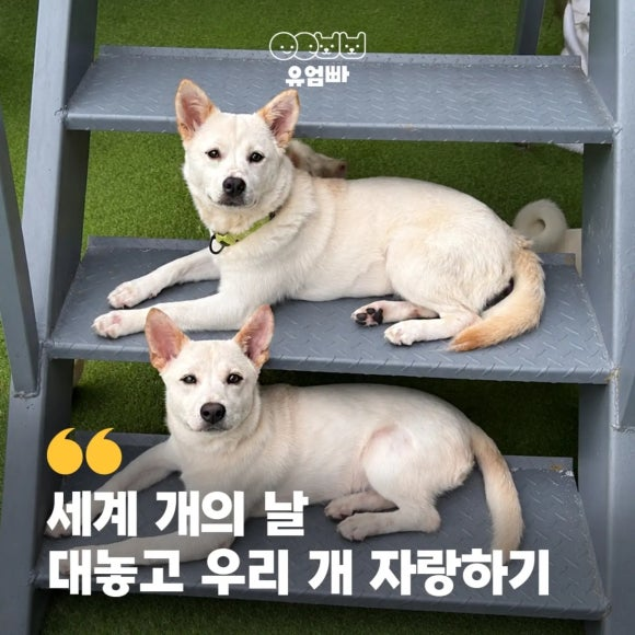 0d07297acd315.png