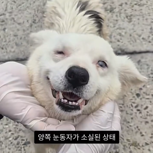 0dc72463c29b6.png