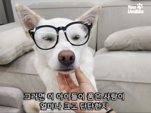 1211bf77f9321.png
