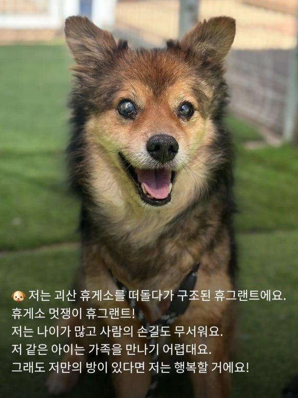 13a830d3e8677.png
