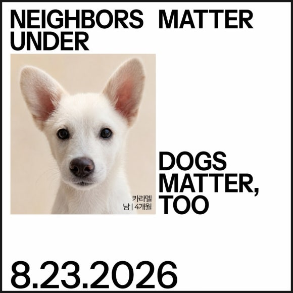 13fde3a025c7e.png