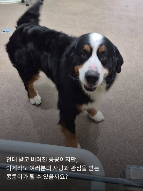 1412771b26922.png
