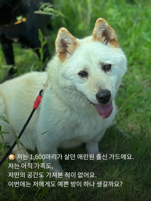 14fc89964f4ab.png