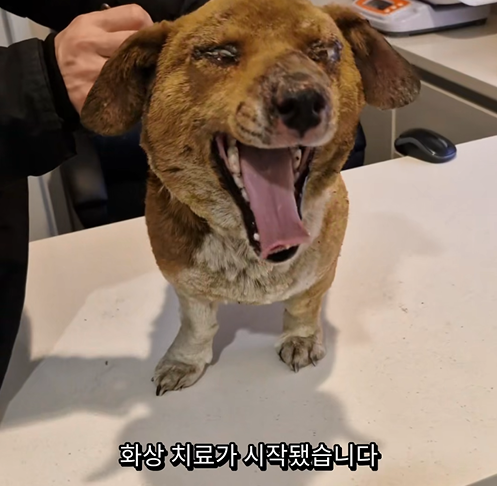 17d76f3a99518.png