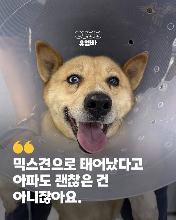 1b35c1e3d7a92.png