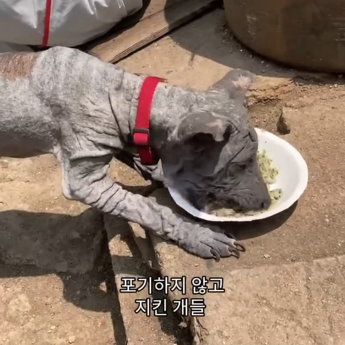 1c4f29b9af52a.png