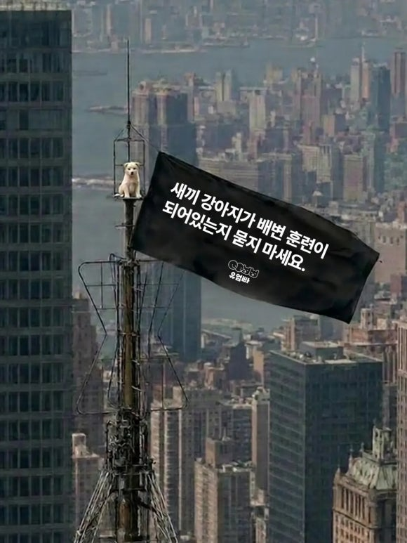 1cfdc070222a9.png