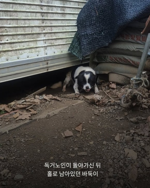 1d01c07557f5f.png