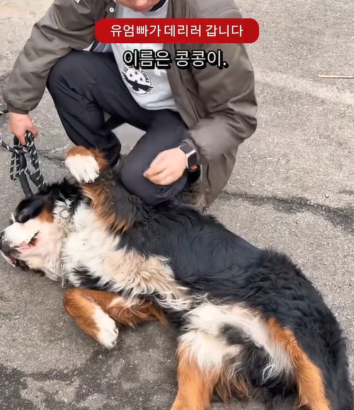 1ec6333daba05.png