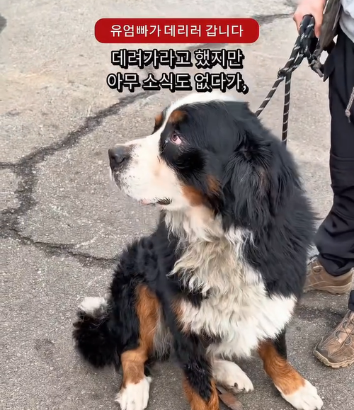 21a177017f11c.png