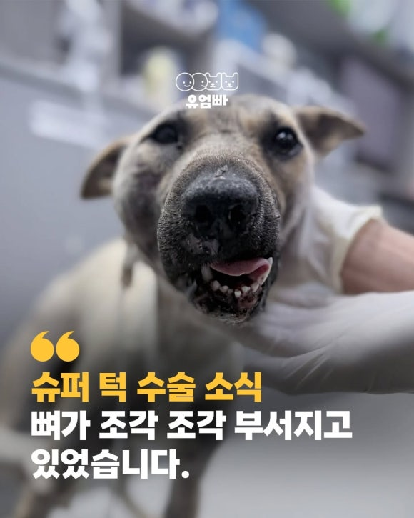 2a95c495d3832.png