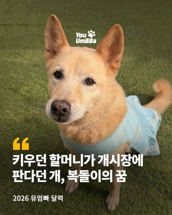 3249f82545441.png